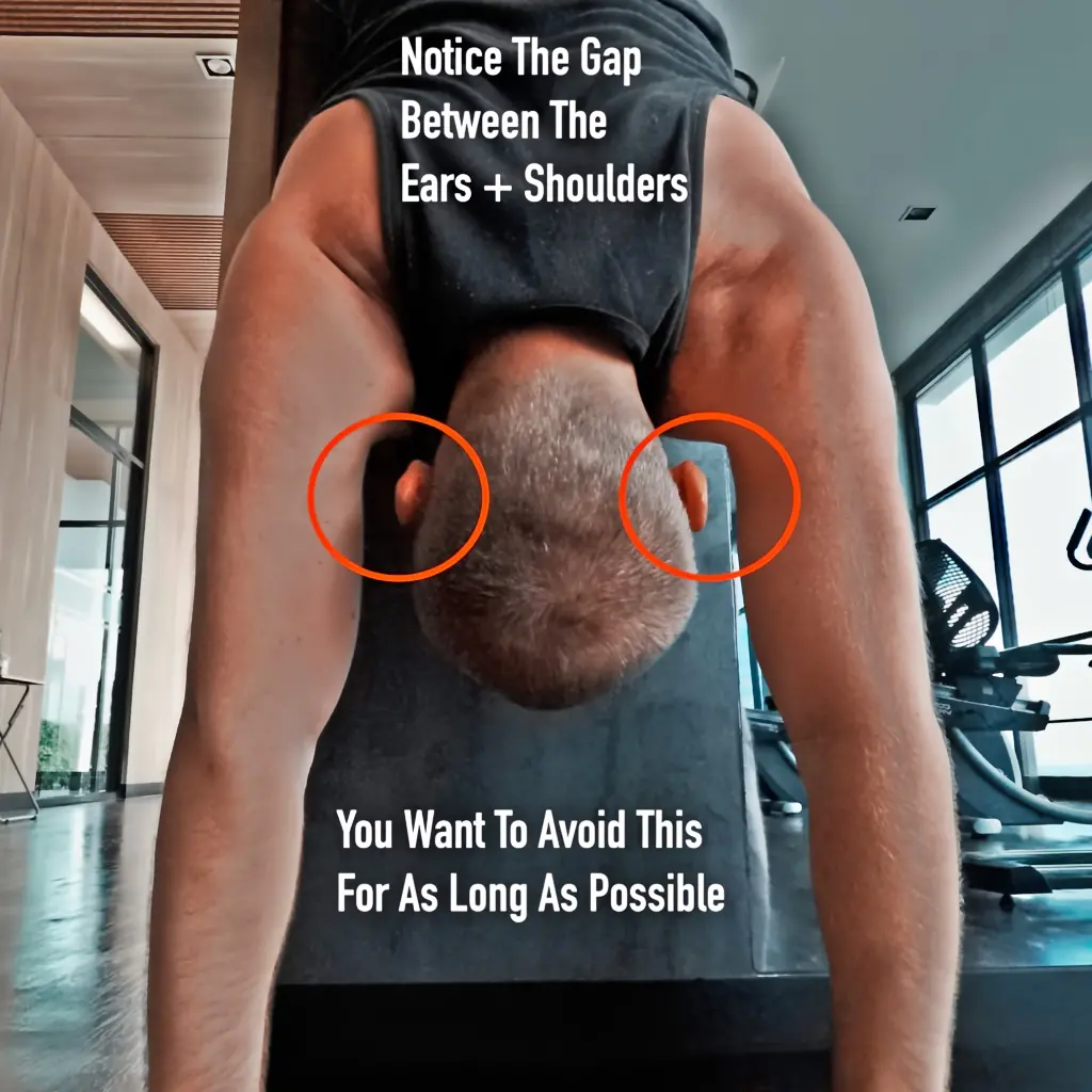 Fatigued and relaxed scapulae while in an against the wall handstand.