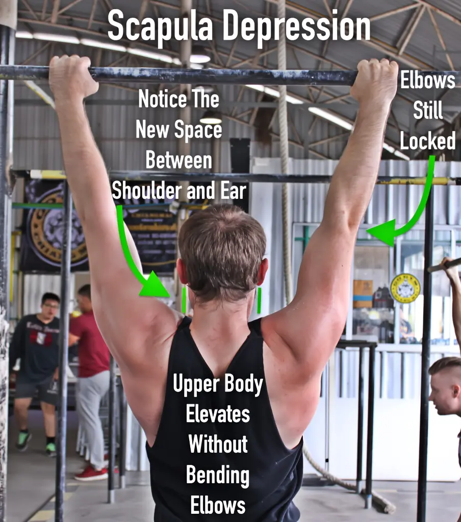 Hanging from a pullup bar with scapulae depressed and elbows locked out