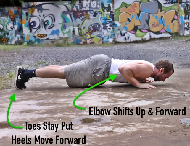 Tiger bend pushup transition with the elbows starting to elevate