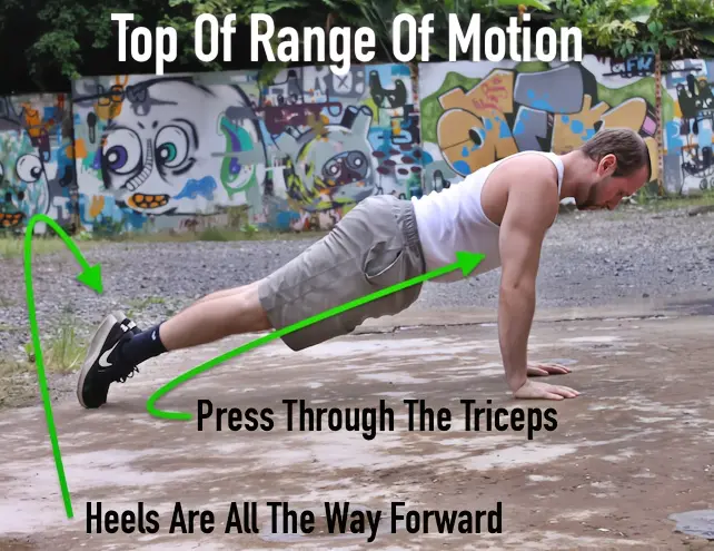Top of the range of motion on a tiger bend pushup