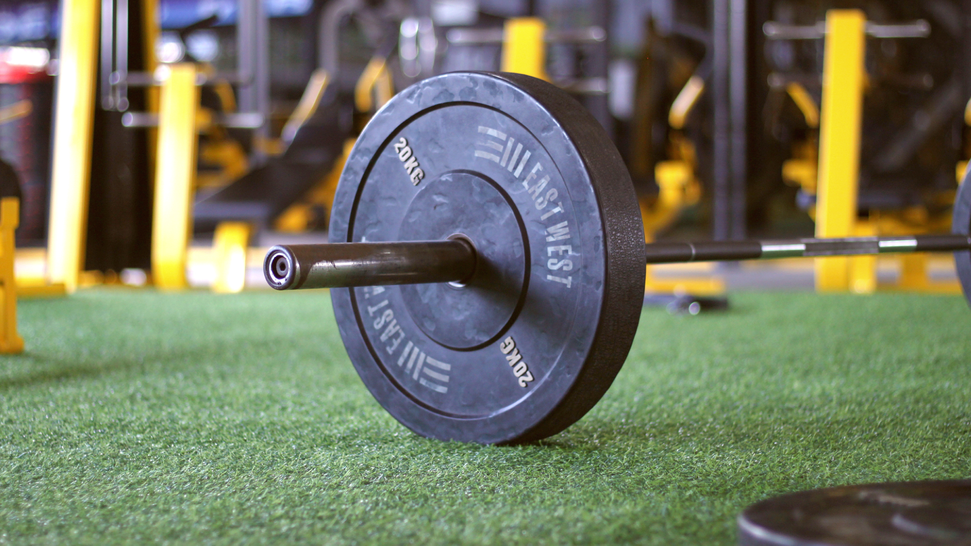 Cover for Weight Training